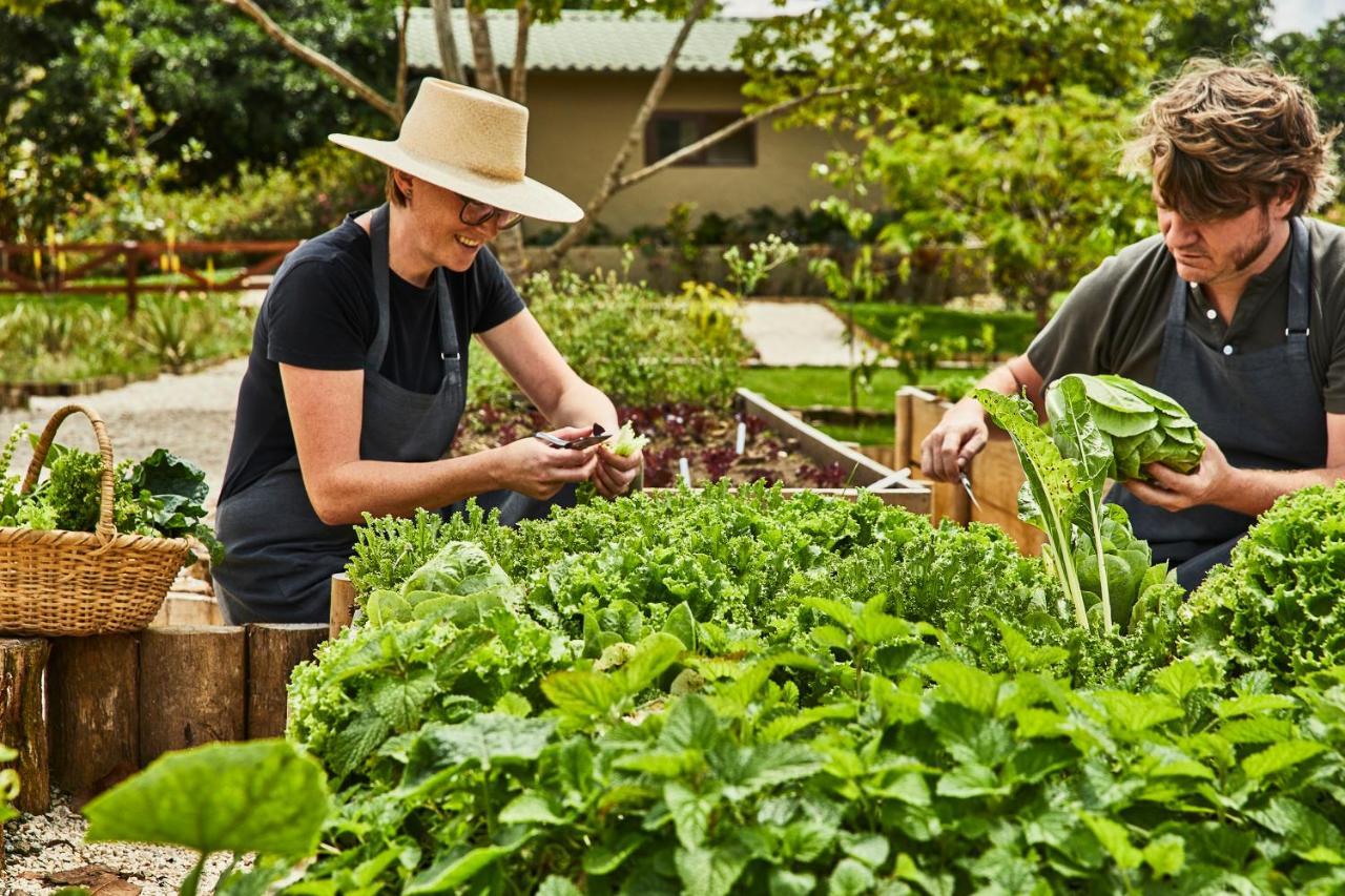 Hacienda Altagracia, Auberge Resorts Collection Santa Elena  Ngoại thất bức ảnh